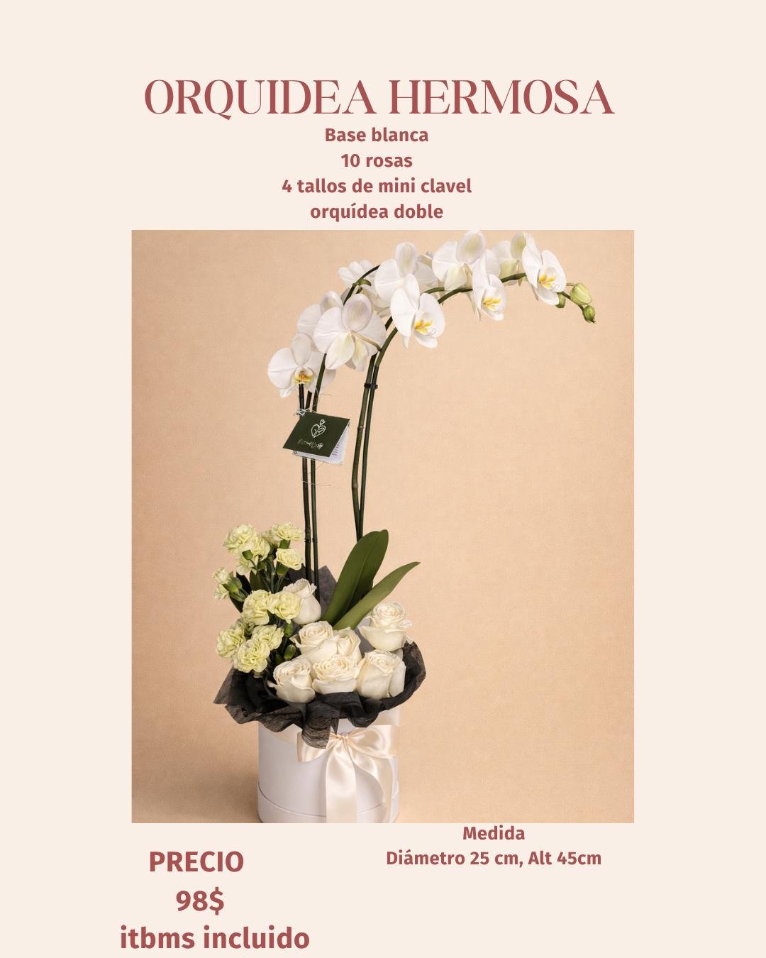 Orquídea Hermosa